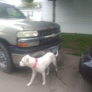 Meet your Posher, Matt